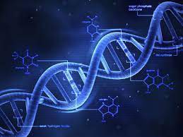 DNA Peptide